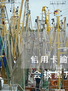 信用卡逾期多长时间会(信用卡逾期多长时间会被黑户)