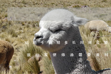 信用卡逾期多长时间会发律师函-欠信用卡银行发律师函需要准时到吗