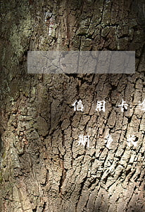 信用卡逾期多长时间可以协商分期(信用卡逾期多长时间可以协商分期还款)