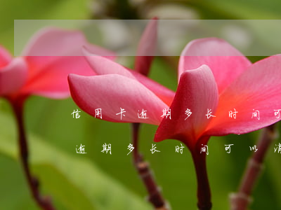 信用卡逾期多长时间可以消除征信-信用卡逾期多长时间可以消除征信记录