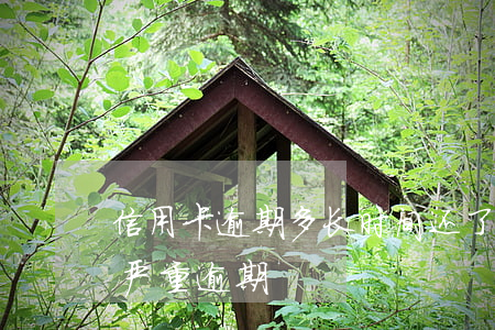 信用卡逾期多长时间还了(信用卡逾期多久算严重逾期)
