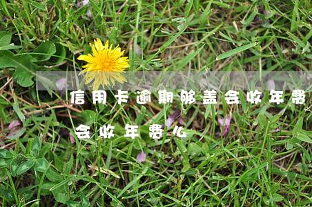 信用卡逾期够盖会收年费么(信用卡逾期够盖会收年费么)