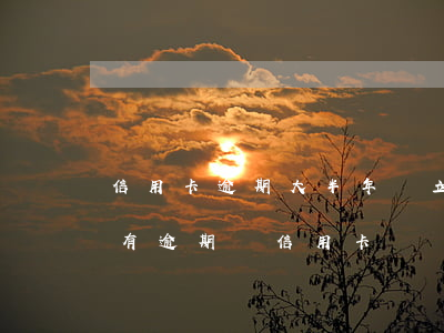 信用卡逾期大半年會立案(半年內(nèi)有逾期辦信用卡)
