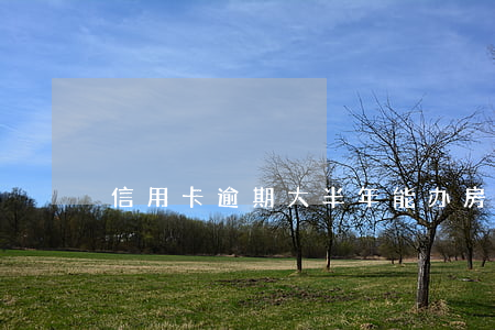 信用卡逾期大半年能办房贷吗