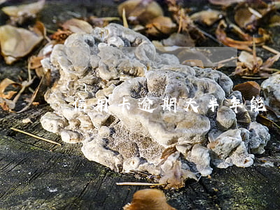 信用卡逾期大半年能辦房貸嗎