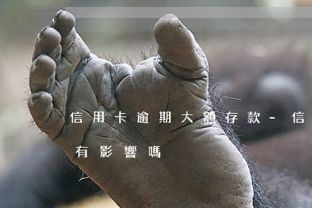 信用卡逾期 大額存款-信用卡逾期 大額存款有影響嗎