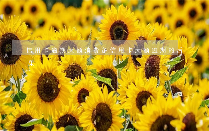 信用卡逾期大額消費多(信用卡大額逾期的后果)