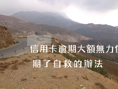 信用卡逾期大額無力償還怎么辦(欠信用卡逾期了自救的辦法)