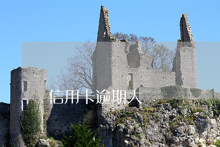 信用卡逾期 大額貸