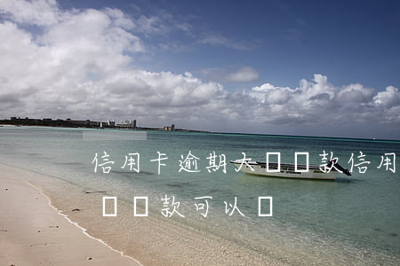 信用卡逾期大額還款(信用卡逾期但是每次小額還款可以嗎)