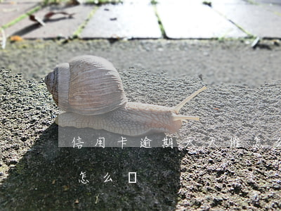 信用卡逾期天天催怎么辦(信用卡逾期天天催怎么辦)