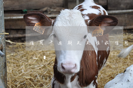 信用卡逾期天天催收 信用卡逾期天天催收怎么辦