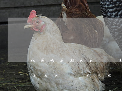 信用卡逾期天天騷擾怎么辦(別人欠信用卡銀行天天騷擾我怎么辦)