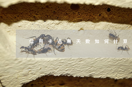 信用卡逾期天数如何计算(逾期天数计算公式)