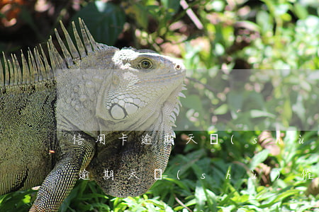 信用卡逾期天數(shù)催收等級(信用卡逾期天數(shù)催收等級)