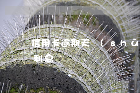 信用卡逾期天數(shù)利息 信用卡 逾期利息