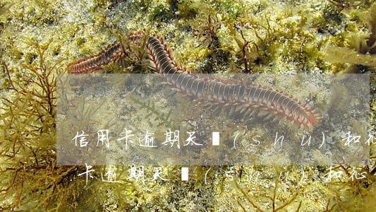 信用卡逾期天數(shù)和征信記錄(信用卡逾期天數(shù)和征信記錄)