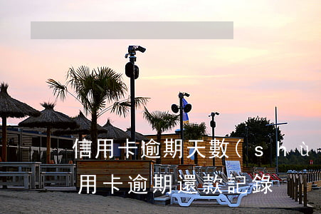 信用卡逾期天數(shù)怎么看(怎么查信用卡逾期還款記錄)