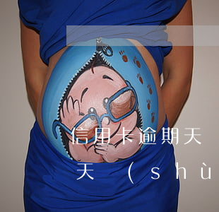 信用卡逾期天數(shù)查詢(信用卡逾期天數(shù)查詢系統(tǒng))