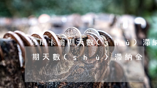 信用卡逾期天數(shù)滯納金 信用卡逾期天數(shù)滯納金