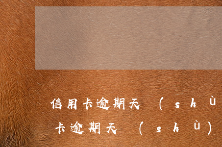 信用卡逾期天數(shù)疊加(怎么算信用卡逾期天數(shù))