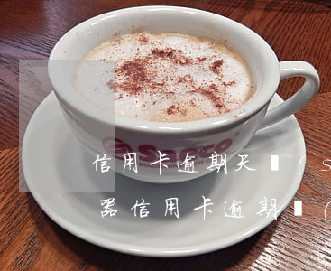信用卡逾期天數(shù)的計(jì)算器(信用卡逾期計(jì)算公式)