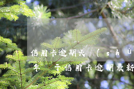 信用卡逾期天數(shù)詳解圖(2020年關于信用卡逾期最新標準)