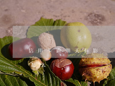 信用卡逾期天有影響嗎(如果說信用卡逾期會怎么樣)