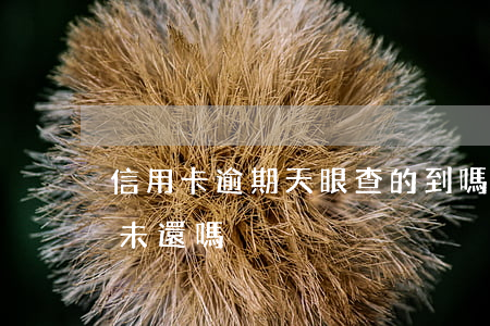 信用卡逾期天眼查的到嗎(天眼查能查信用卡未還嗎)