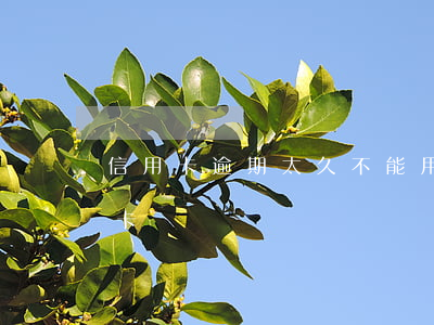 信用卡逾期太久不能用了(有过逾期办理信用卡)