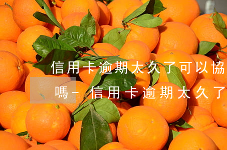信用卡逾期太久了可以協(xié)商還款嗎-信用卡逾期太久了可以協(xié)商還款嗎怎么辦