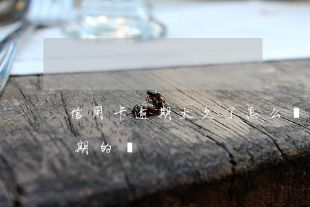 信用卡逾期太久了怎么處理(有處理信用卡逾期的嗎)