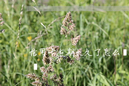 信用卡逾期太久了怎么辦(信用卡 逾期了怎么辦)
