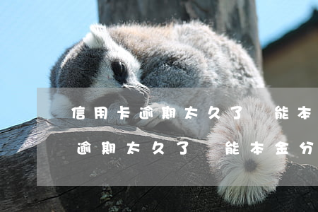 信用卡逾期太久了還能本金分期嗎-信用卡逾期太久了還能本金分期嗎怎么辦