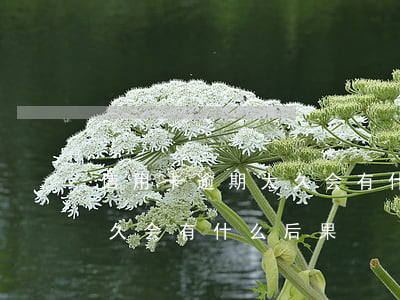 信用卡逾期太久会有什么后果(信用卡逾期太久会有什么后果)