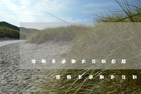 信用卡逾期太久利息超過(guò)本金咋辦-信用卡逾期太久利息超過(guò)本金咋辦呢