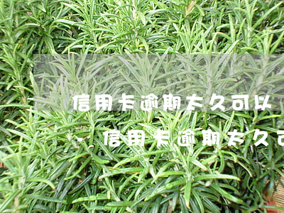 信用卡逾期太久可以協(xié)商減免嗎-信用卡逾期太久可以協(xié)商減免嗎