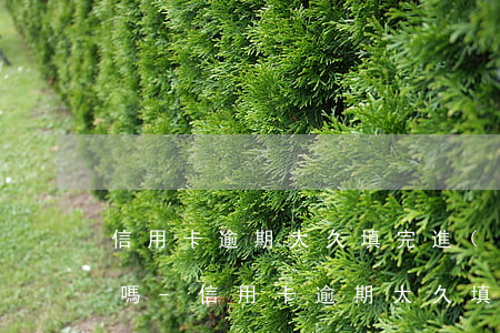 信用卡逾期太久填完進(jìn)去還能刷嗎-信用卡逾期太久填完進(jìn)去還能刷嗎安全嗎