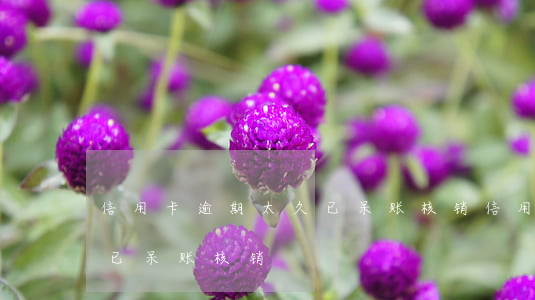 信用卡逾期太久已呆账核销(信用卡逾期太久已呆账核销)
