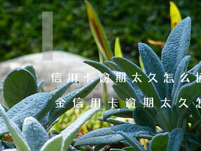 信用卡逾期太久怎么協(xié)商只還本金（信用卡逾期太久怎么協(xié)商只還本金）