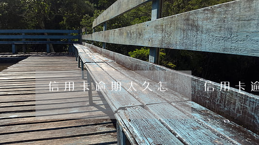 信用卡逾期太久怎樣還(信用卡逾期怎么辦)