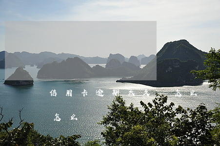 信用卡逾期太久會怎么樣(信用卡逾期太久會怎么樣)
