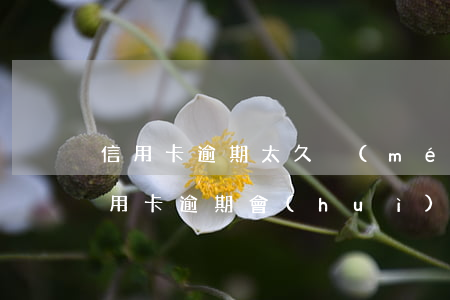 信用卡逾期太久沒(méi)還怎么辦(欠信用卡逾期會(huì)怎樣)