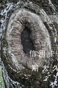 信用卡逾期太久無法使用怎么辦-信用卡逾期太久無法使用怎么辦呢