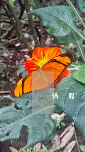 信用卡逾期太久現(xiàn)要協(xié)商還款(逾期很久的信用卡協(xié)商)