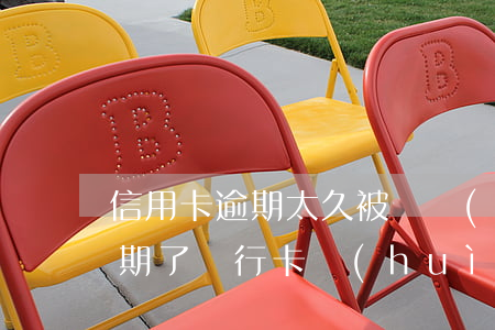 信用卡逾期太久被凍結(jié)(信用卡逾期了銀行卡會(huì)凍結(jié)嗎)