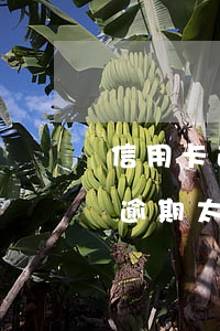 信用卡逾期太久還款之后還能用嗎-信用卡逾期太久還款之后還能用嗎