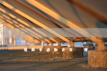 信用卡逾期太久額度