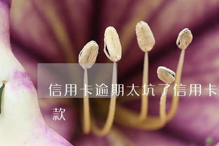 信用卡逾期太坑了(信用卡逾期太坑了怎么還款)