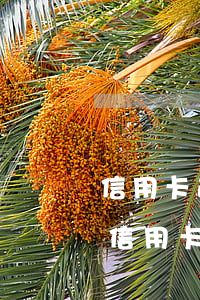 信用卡逾期太多太久怎么辦 當(dāng)信用卡逾期越來越嚴(yán)重